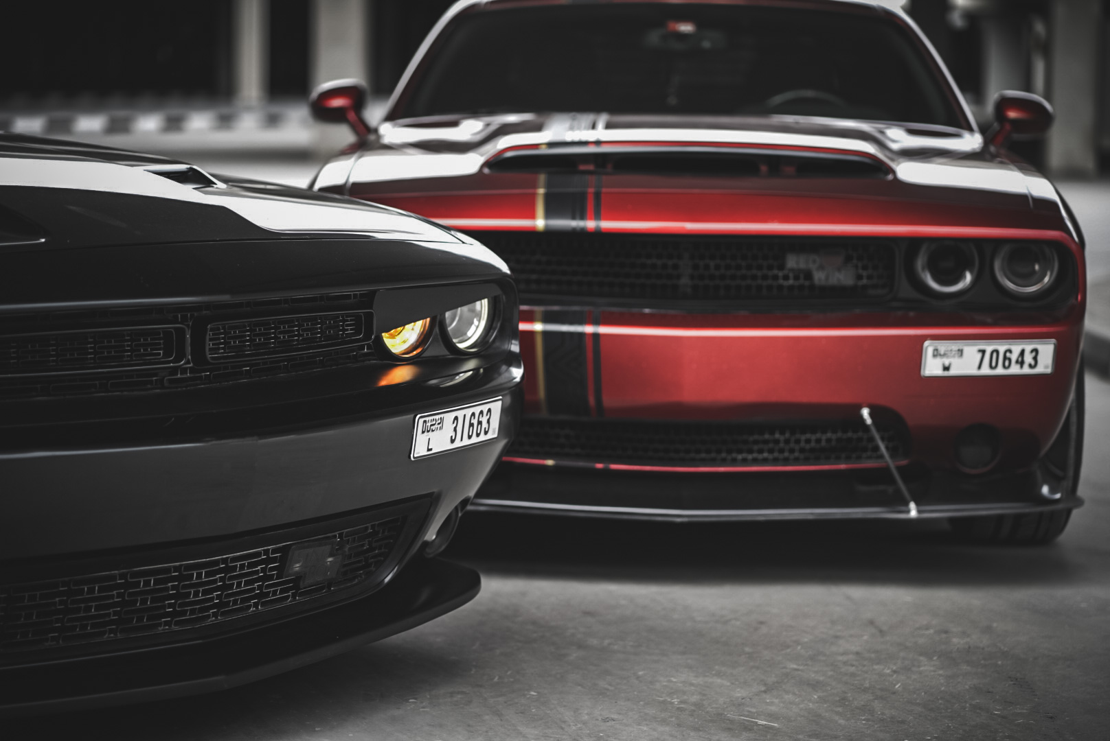 ALL 17